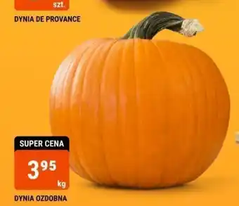 bi1 DYNIA OZDOBNA 1kg oferta