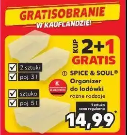 Kaufland Organizery do lodówki 3 l oferta