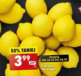 Biedronka Cytryna na wagę 1 kg oferta