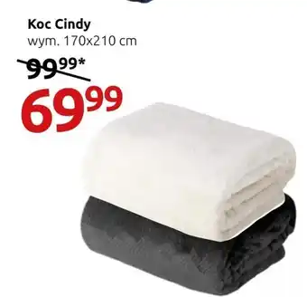 Black Red White Koc oferta