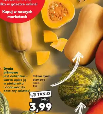 Kaufland Dynia oferta