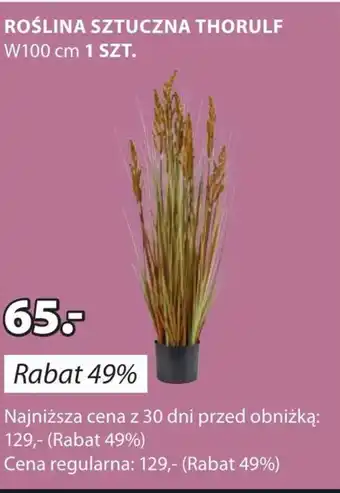 JYSK Sztuczna roślina oferta