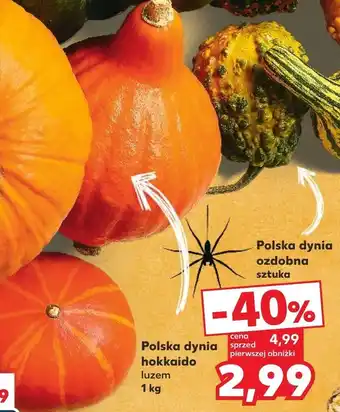 Kaufland Dynia oferta