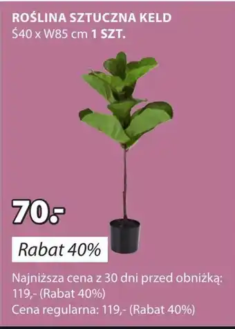 JYSK Sztuczna roślina oferta
