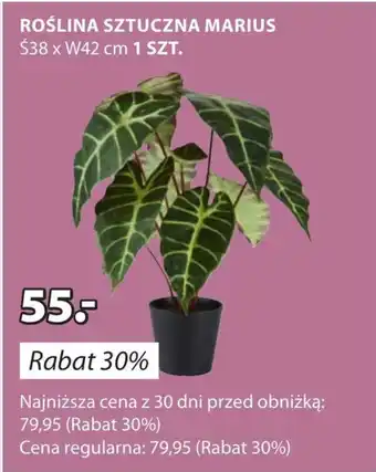 JYSK Sztuczna roślina oferta