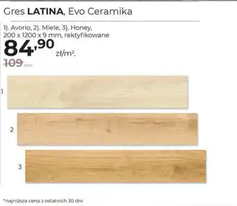 Apis Gres LATINA oferta