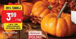Polomarket Dynia oferta