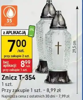 Stokrotka Optima Znicz oferta