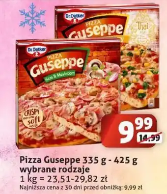 Sedal Pizza Guseppe 335 g -425 g wybrane rodzaje oferta
