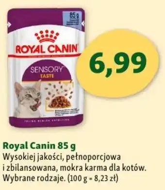 Maxi Zoo Royal Canin 85 g oferta