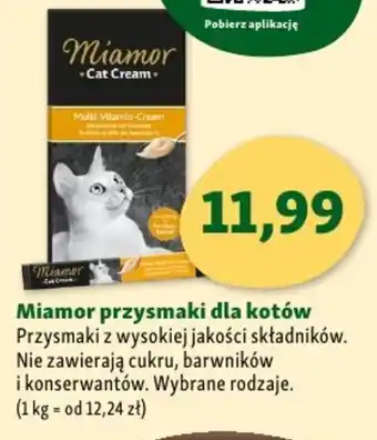 Maxi Zoo Miamor przysmaki dla kotów oferta