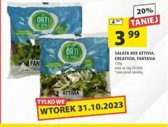 Arhelan SAŁATA MIX ATTIVIA, CREATIVIA, FANTASIA 150g oferta