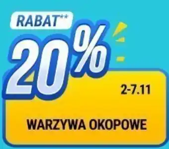 bi1 WARZYWA OKOPOWE oferta