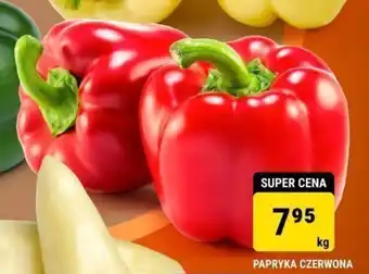 bi1 PAPRYKA CZERWONA 1kg oferta