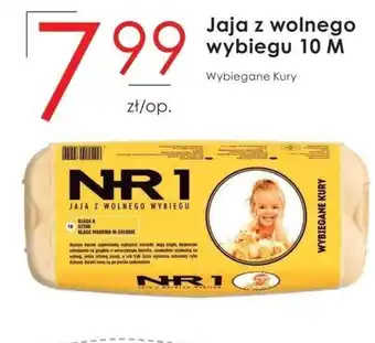 Frac Jaja oferta