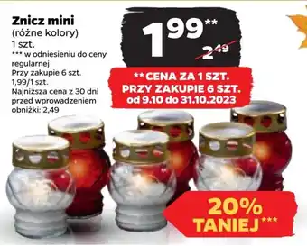 Netto Znicz mini oferta