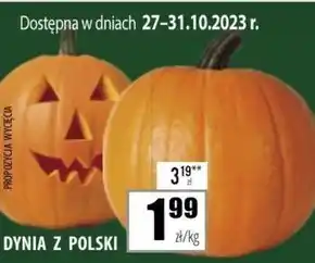 Społem Szczecin Dynia oferta