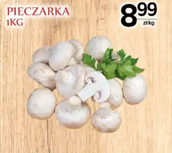Robert PIECZARKA 1KG oferta