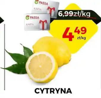 Orzech CYTRYNA oferta