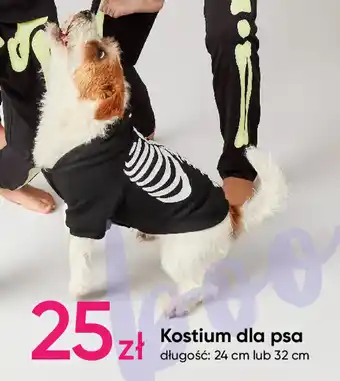 Pepco Kostium dla psa długość: 24 cm lub 32 cm oferta