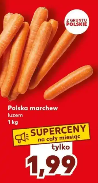 Kaufland Polska marchew luzem 1 kg oferta