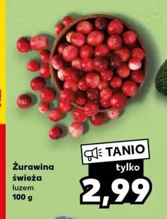 Kaufland Żurawina świeża luzem 100 g oferta