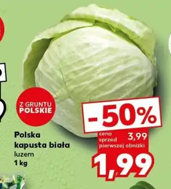 Kaufland Polska kapusta biała luzem 1 kg oferta