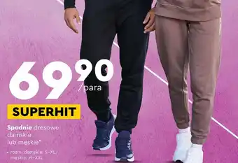 Biedronka Spodnie dresowe damskie lub męskie oferta