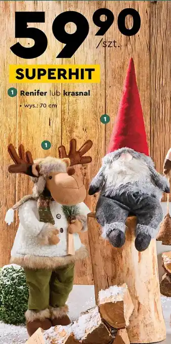 Biedronka Renifer lub krasnal oferta
