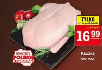 Gram Market Kaczka świeża 1kg oferta
