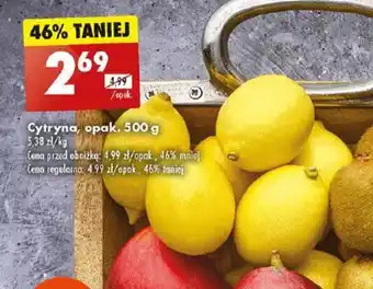 Biedronka Cytryna, opak. 500 g oferta