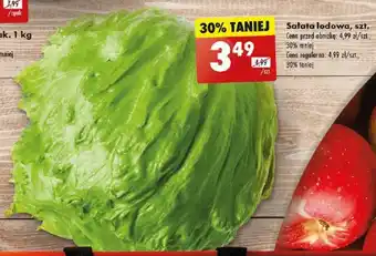 Biedronka Sałata lodowa, szt. oferta