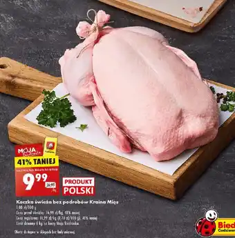 Biedronka Kaczka świeża bez podrobów Kraina Mięs 1 kg oferta