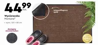 Biedronka Wycieraczka Montana wym: 120 x 80 cm oferta