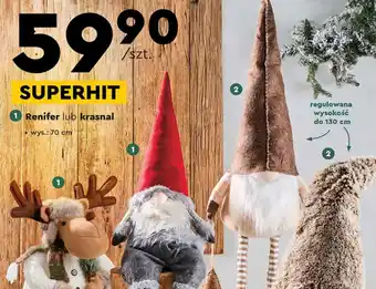 Biedronka Renifer lub krasnal oferta