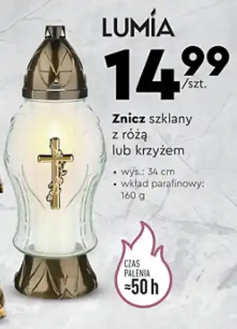 Biedronka Znicz szklany z różą lub krzyżem oferta