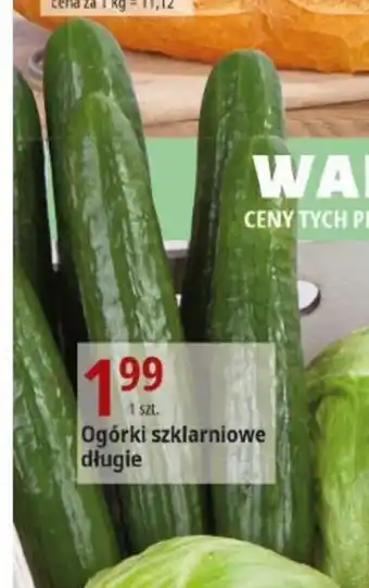 E.Leclerc Ogórki szklarniowe długie 1szt. oferta