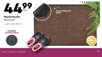 Biedronka Wycieraczka montana 120 x 80 cm oferta