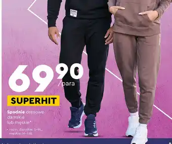 Biedronka Spodnie damskie oferta