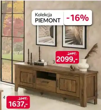 Agata Meble szafka RTV 2D1S TYP31 oferta