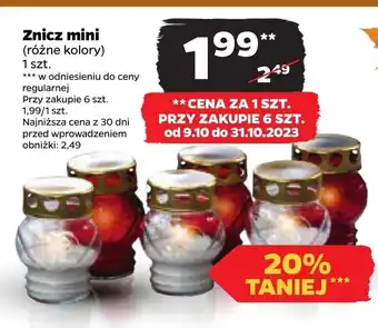 Netto Znicz oferta