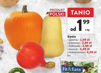 Intermarche Dynia 1 kg oferta
