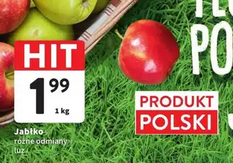 Intermarche Jabłko 1 kg oferta