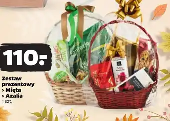 Netto Zestaw prezentowy oferta