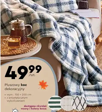Biedronka Koc oferta