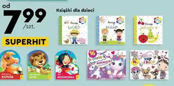 Biedronka Książka dla dziecka oferta