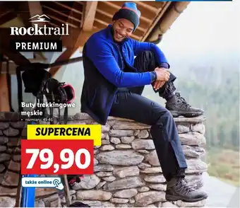 Lidl Buty trekkingowe męskie Rocktrail rozmiary: 41-46 oferta