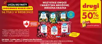 Biedronka WSZYSTKIE OWOCE I WARZYWA MROŻONE, MROŹNA KRAINA oferta