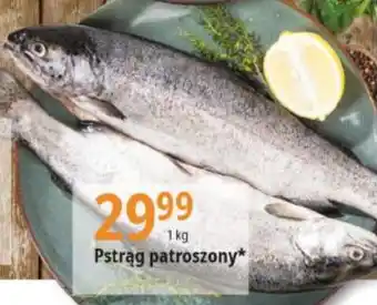 E.Leclerc Pstrąg patroszony 1 kg oferta
