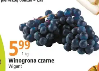 E.Leclerc Winogrona oferta